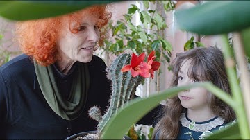 映画『金の糸』予告編