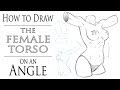 How to Draw the Female Body - Torso and Hips - Angled Pose