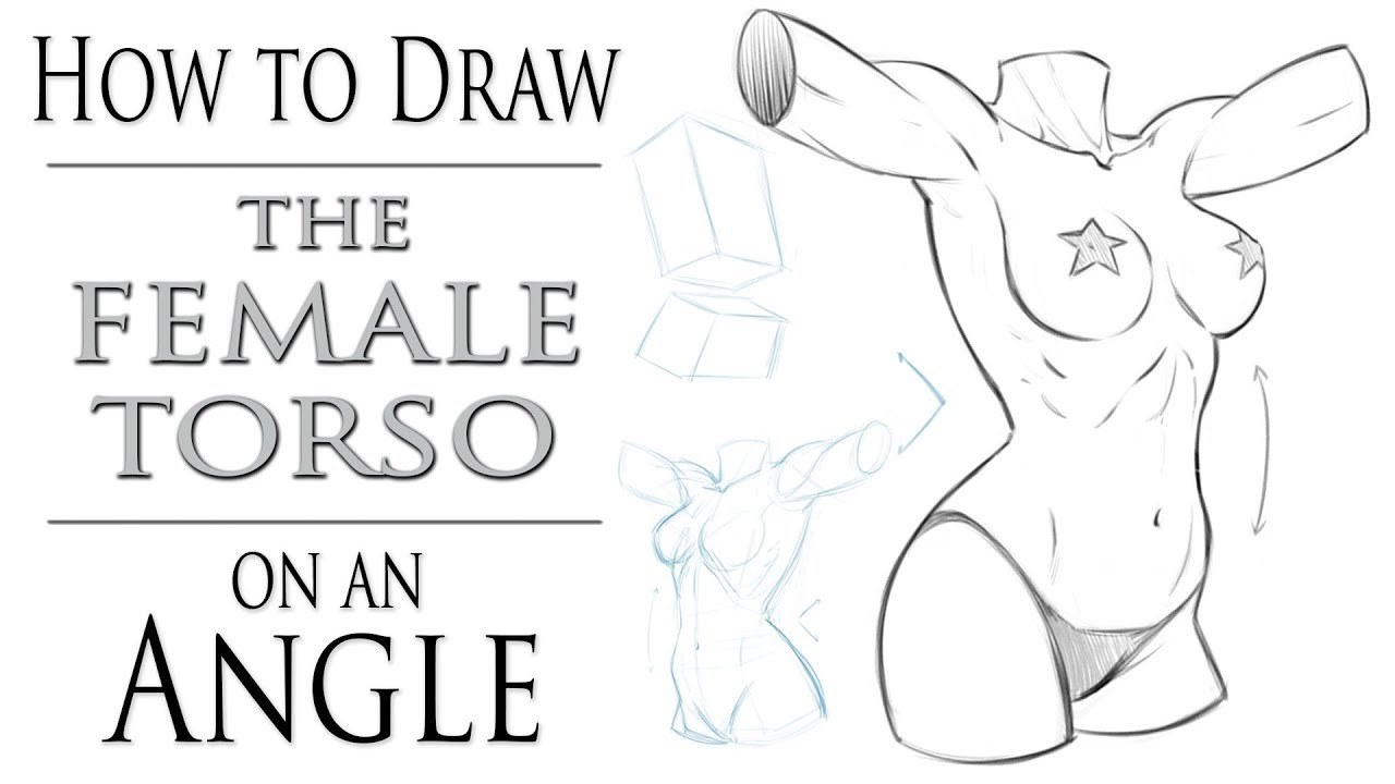 Featured image of post How To Draw Female Torso For more information on how to draw a human face male or female feel free to check our tutorial how to draw a face