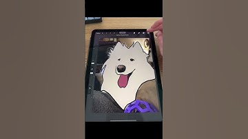 Reply to cartoon effect on pet step by step tutorial in procreate #cartoon #procreate