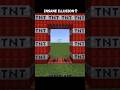 Minecraft Insane Optical Illusion...😯