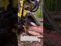 Forestry Power: Hydraulic Log Grapple in Action! #LoggingTech #ForestryEquipment #HeavyMachinery