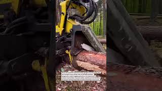 Forestry Power: Hydraulic Log Grapple in Action! #LoggingTech #ForestryEquipment #HeavyMachinery