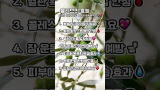 올리브, 혈관은 탄탄해지고 피부는 촉촉해져요 🫒💕