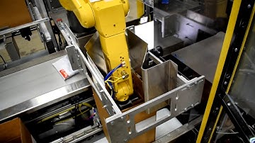 Robotic Case Packing and Palletizing Dual Lines