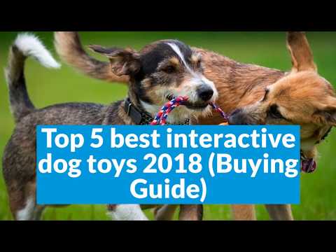 best interactive dog toys 2018