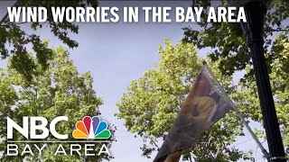 Wind Advisory Surprises Bay Area Residents