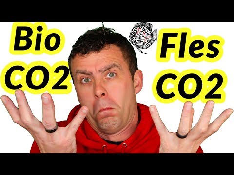 Wat is het verschil tussen bio co2 en flessen co2? / That&rsquo;s the Question | Aquarium Sunshine Valley