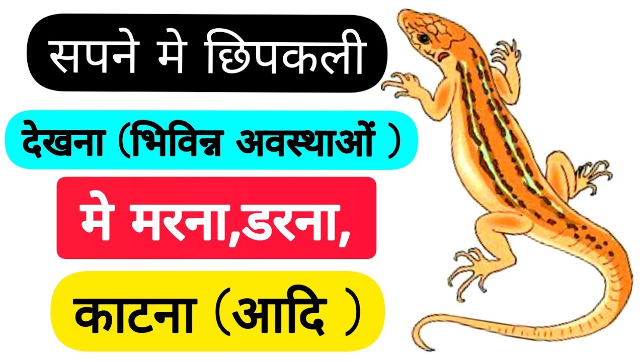 Sapne Me Chipkali Dekhna  Sapne Mein lizard dekhna   sapnemechipkali  sapnemelizard