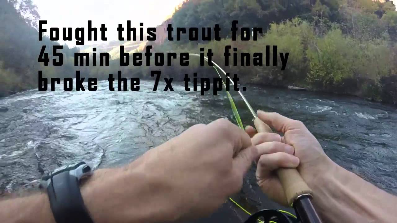 Frying Pan River Fishing YouTube