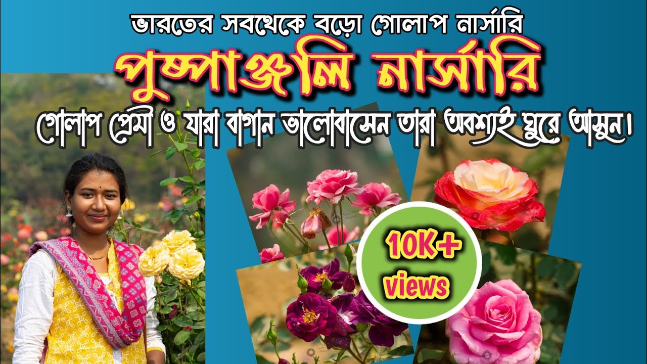 Biggest rose nursery of India, 3000+ rose variety, Pushpanjali Pranabir, Jakpur, West Medinipur, WB
