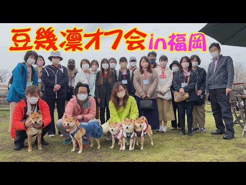 【車中泊の旅】視聴者さんと糸島でお会いしました♪【ファームリゾート糸島】