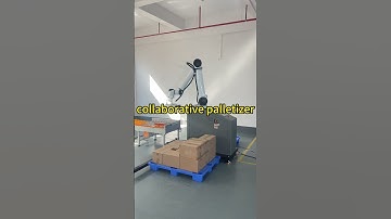 collaborative palletizer #palletizer #cobot #robot