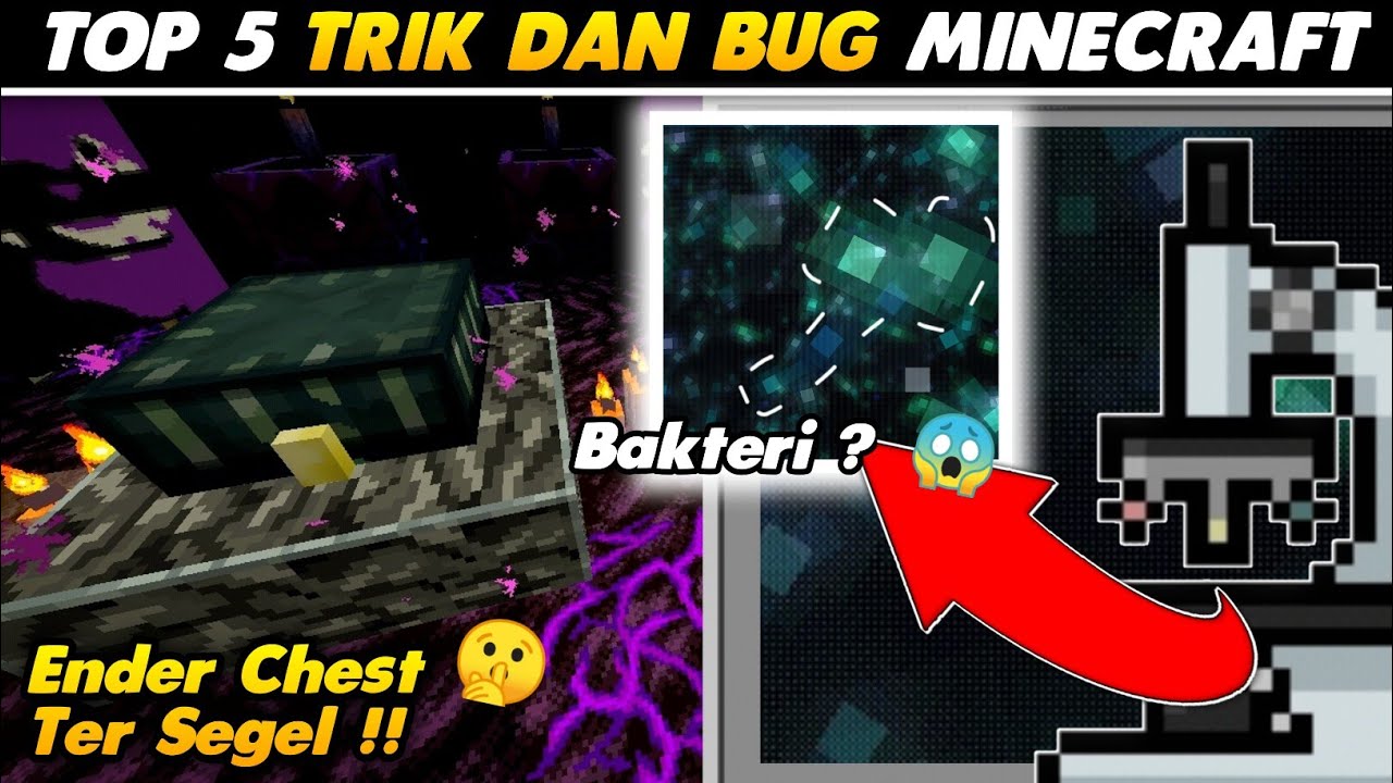 TOP 5 TRIK DAN BUG TERBARU SETELAH UPDATE DI MCPE 1.17.11.01 OFFICIAL ...