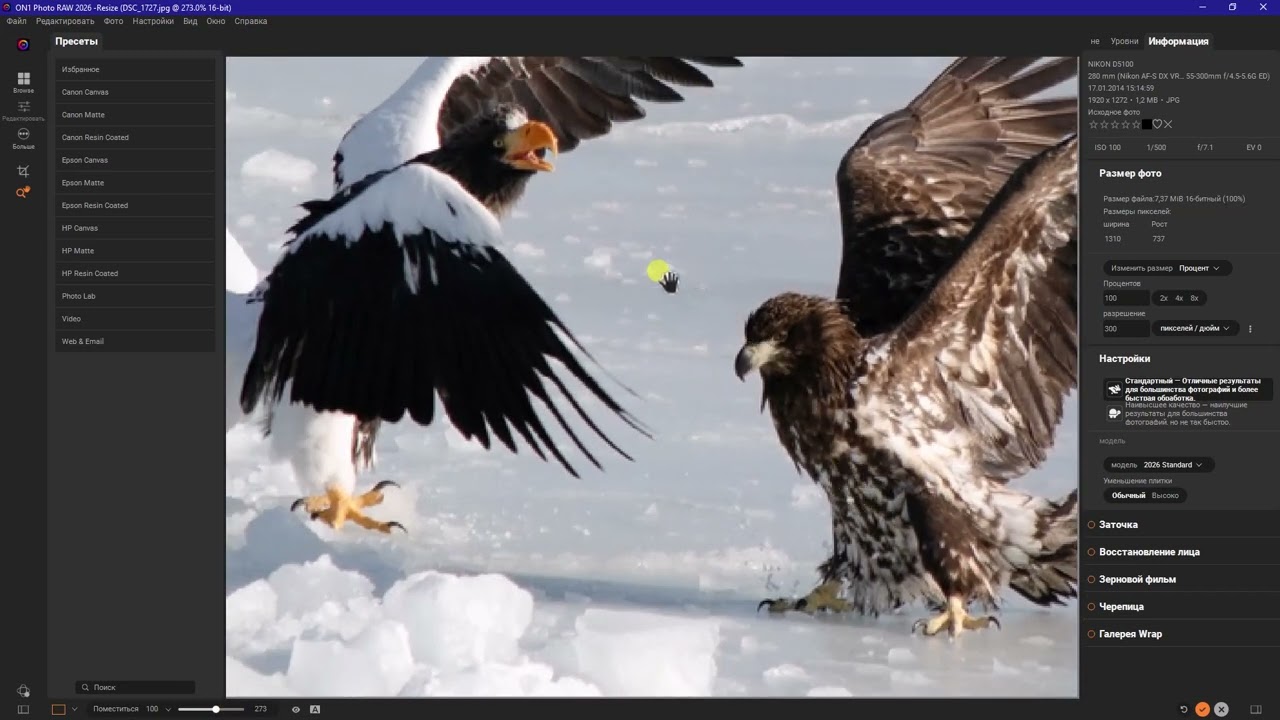 Как быстро и качественно увеличить размер маленькой фотографии в «ON1 Photo RAW MAX 2026».  Урок 1