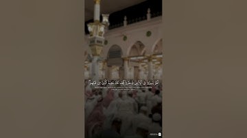سورة محمد الشيخ #عبدالله_القرافي