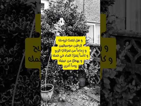 و يهطل من عينيك روحا أخرى اكسبلور خواطر اقتباس كلمات اقتباسات قصيدة قصيده كلمات روح ريح