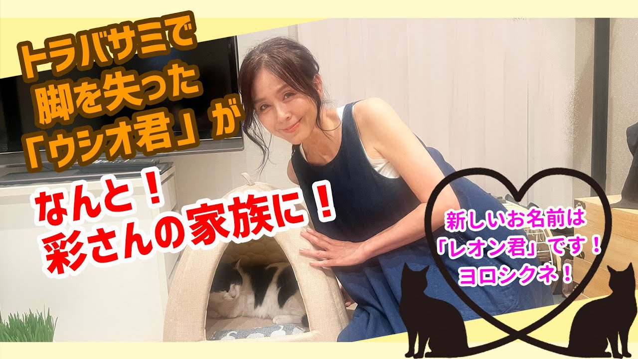 #126 トラバサミで脚を失った「ウシオ君」がなんと！彩さんの家族に！！新しいお名前は「レオン君」です！