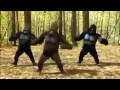 Hali Luya GORILLA DANCE LIKE A HUMAN VERY FUNNY EDITED