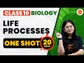 Life Processes Class 10 One Shot in 20 Minutes | NCERT Class 10 Biology Chapter-1 #CBSE2024