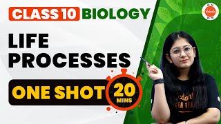 Life Processes Class 10 One Shot in 20 Minutes | NCERT Class 10 Biology Chapter-1 #CBSE2024