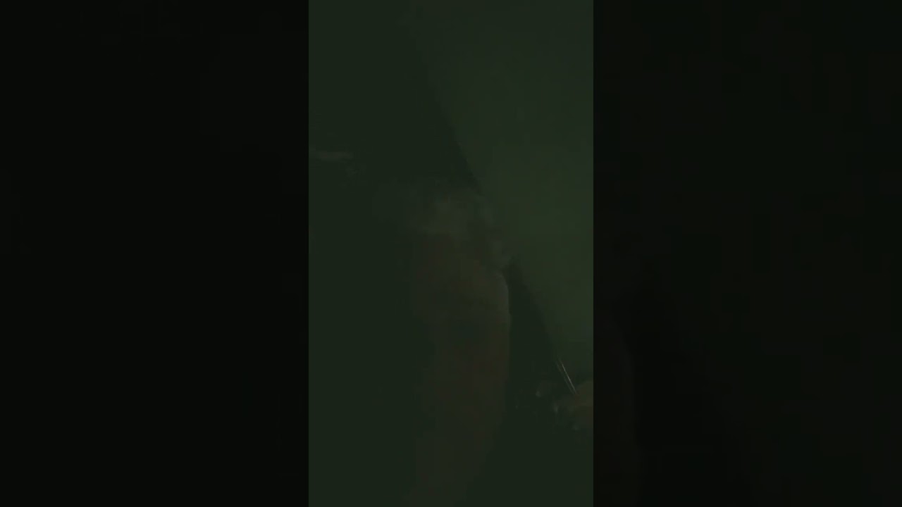 10 октября 2022 г.