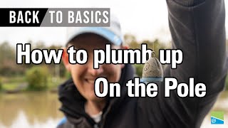 BACK TO BASICS with Lee Kerry | How to plumb up on the pole