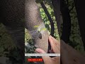 smart tricks for our dailylife #tools #smart #tricks #shorts #dailylife