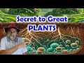 Best Way to Increase Soil Microbes and Improve Plant Health