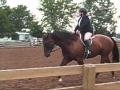 Lizzy and bandit trotting to line up