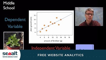Practice 4 - Analyzing and Interpreting Data - Semalt
