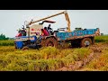 স্বরাজ ট্রাক্টর কাদায় টলি টানছে | Swaraj 744 FE  trolley performance in mud | @tractorfan7584