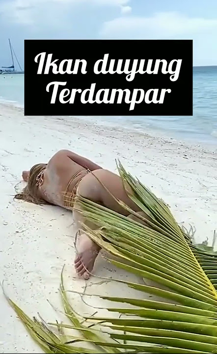 putri duyung terdampar