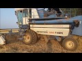 Уборочная 2016. Harvesting in russian's fields, Dubrovo village. La cosecha de cereales en Rusia.