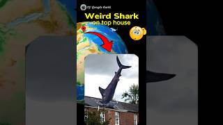 Weird shark on top house? ??? on google earth and google maps ? shots sygoogleearth