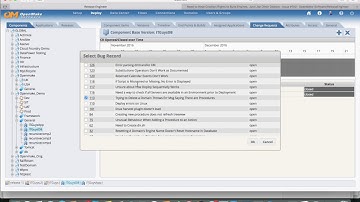 DeployHub (formerly Release Engineer) Change Request Tracking