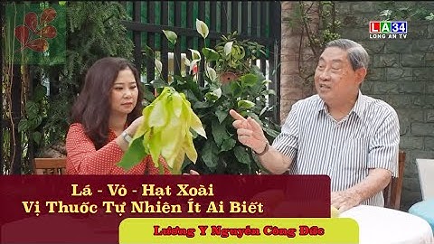 LÁ – VỎ – HẠT XOÀI VỊ THUỐC TỰ NHIÊN ÍT AI BIẾT - Lương Y Nguyễn Công Đức