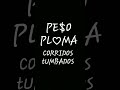 i love peso pluma a lot
