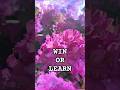 Win or learn