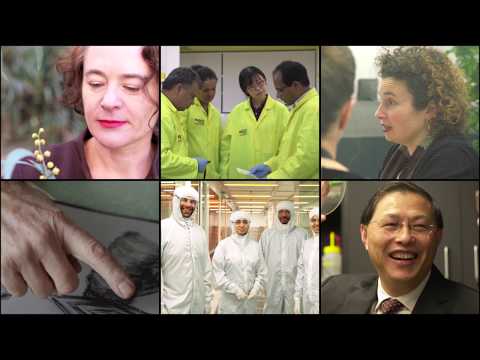 RMIT Researchers - Shaping the World | RMIT University