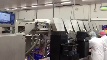 Marel DWU 8 station Sorting and Batching machine - For sale by IBtrade