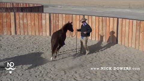 Range Tested IV — Starting Colts With Nick Dowers