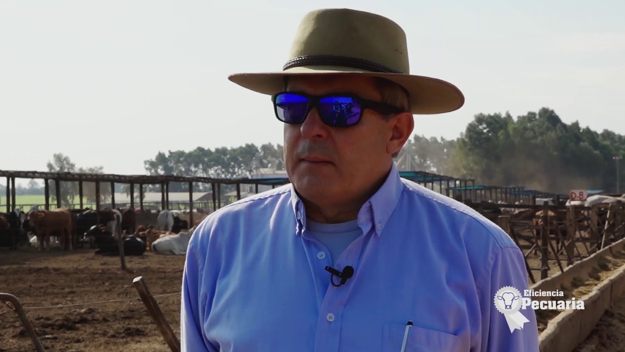 EP PGM 4 GANADERA ALBORADA ESTANCIA FELICIDAD