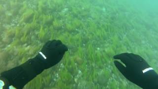 St. Clair Superman Dive
