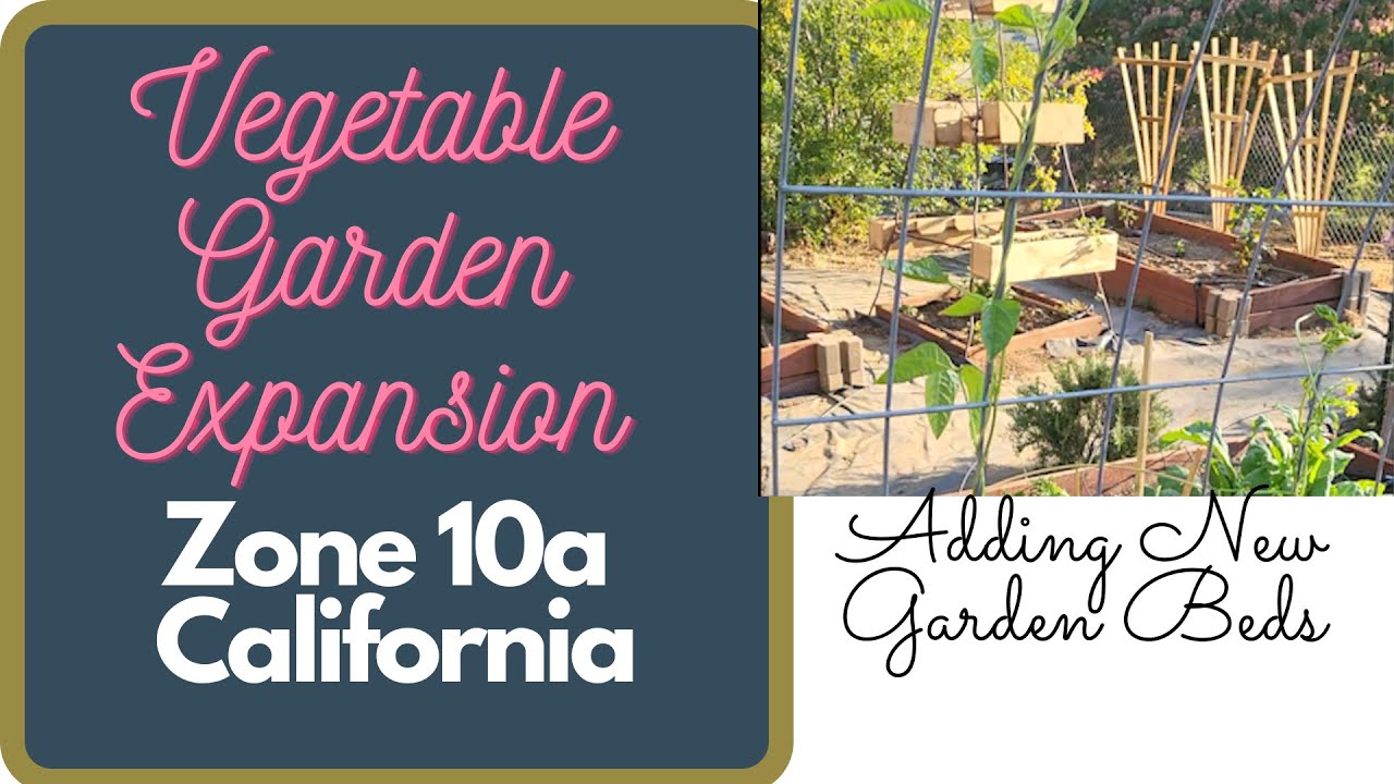 Expanding the Vegetable Garden Beds in Zone 10a California YouTube