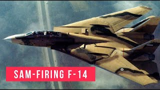 How Iran strapped SAMs to F-14 Tomcats