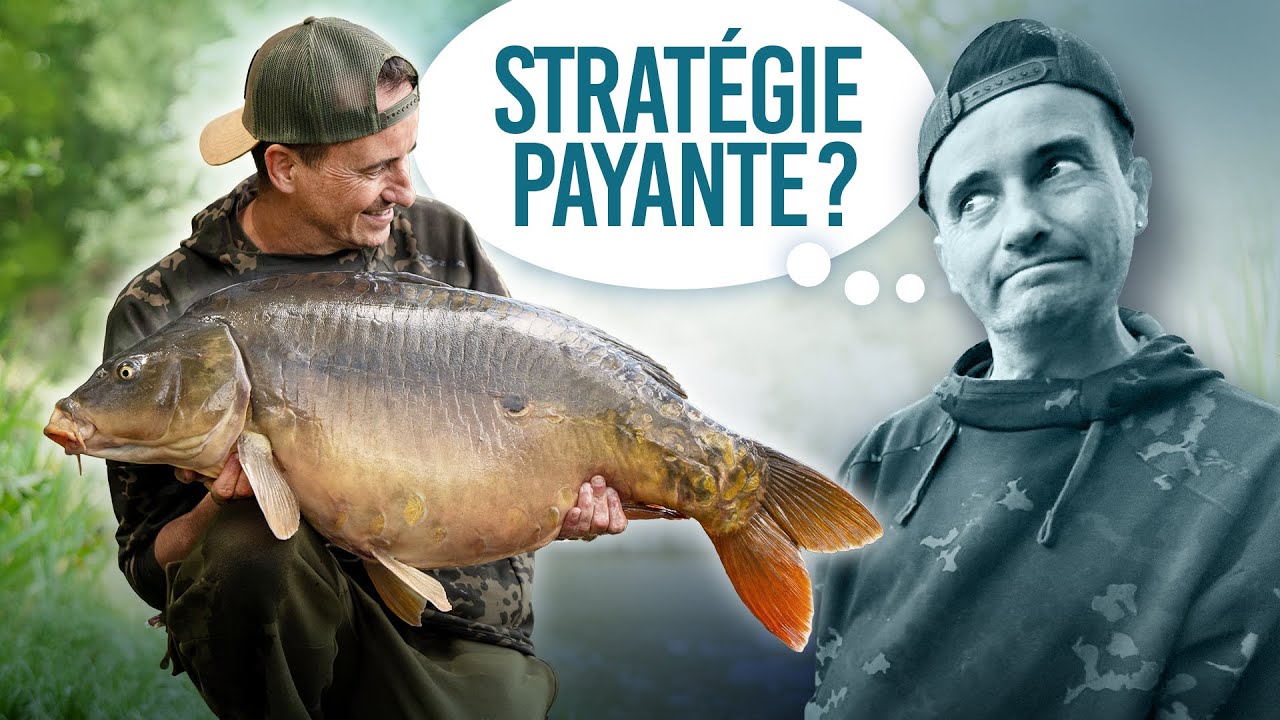 Lifestyle Séries I EP32 I Stratégie payante ? Bruno Médou)