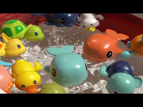 【SJKON】發條戲水玩具-生