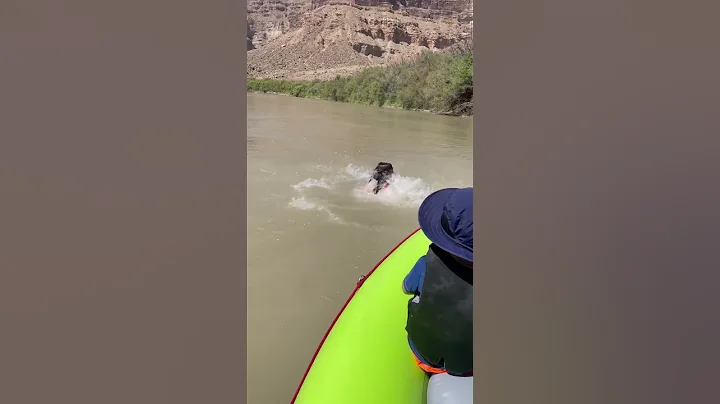 Watch me backflip // Green River 2022