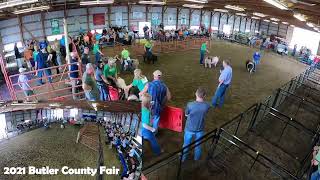 2021 Butler County Fair  - 4-H and FFA Swine Show